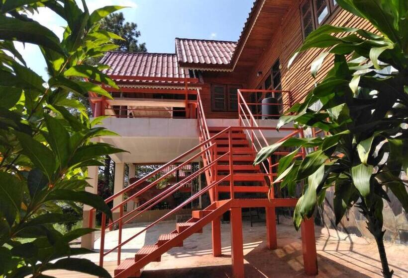 פנסיון Chatfah Resort