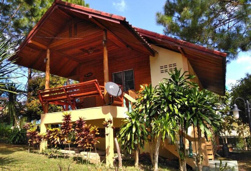 פנסיון Chatfah Resort