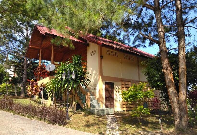 פנסיון Chatfah Resort