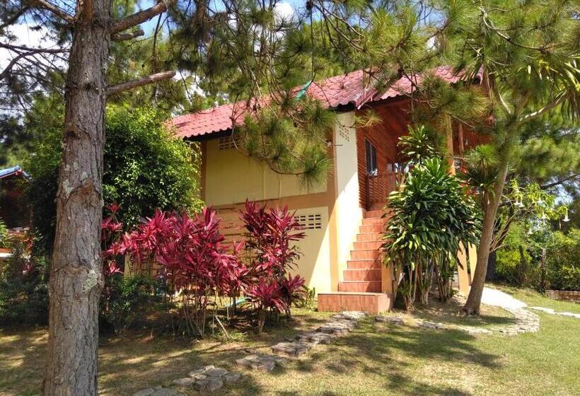 פנסיון Chatfah Resort