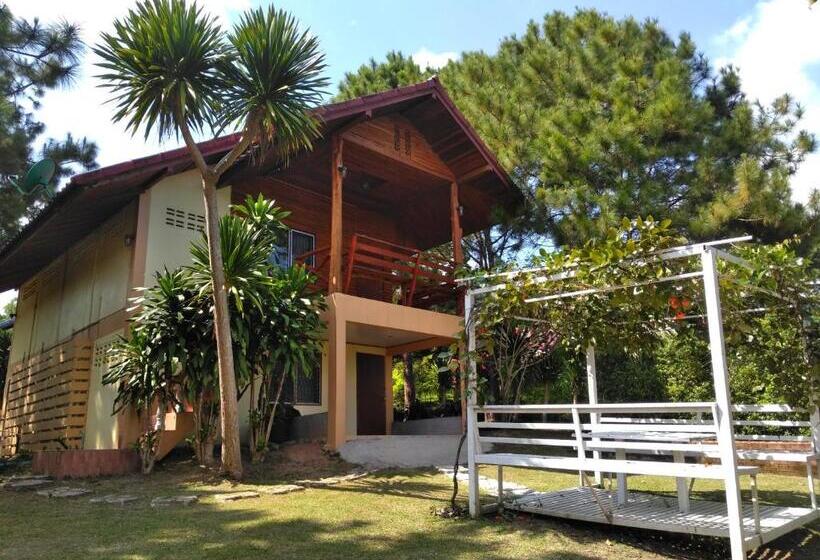 פנסיון Chatfah Resort