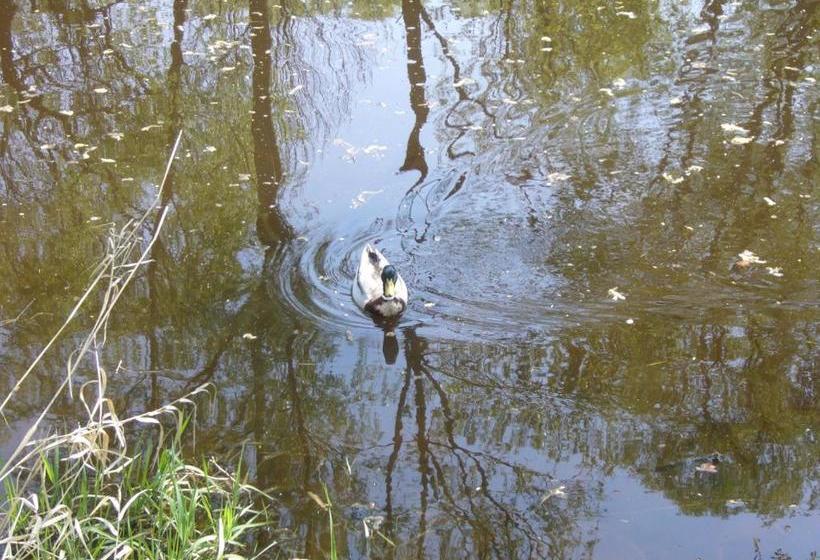 بنسيون S Restaurací Splávek