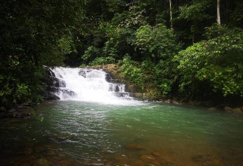 펜션 Hostel Antorchas