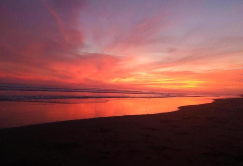 펜션 Hostel Antorchas