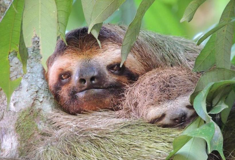 پانسیون La Terraza Verde