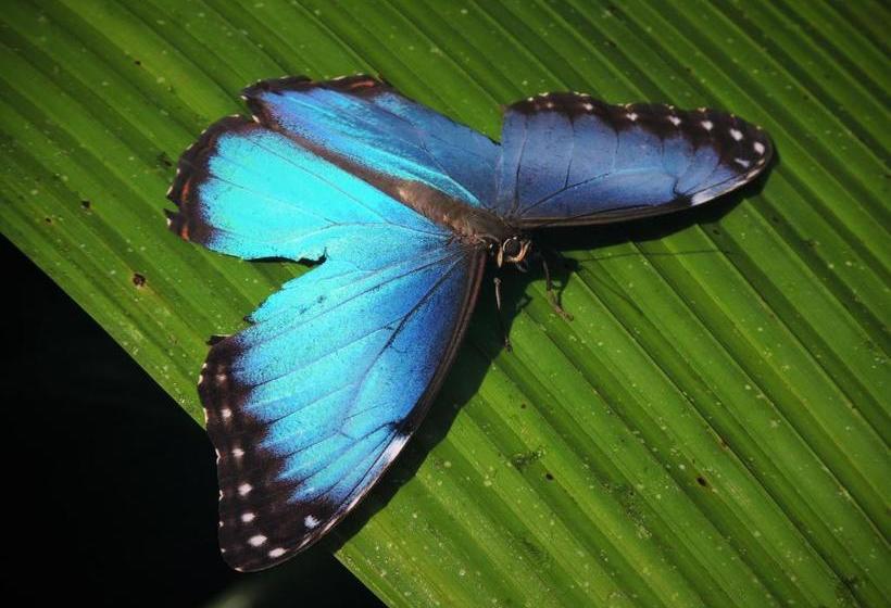 پانسیون La Terraza Verde