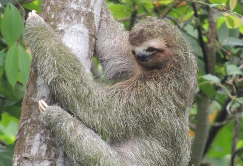 پانسیون La Terraza Verde