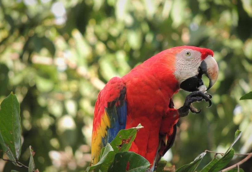پانسیون La Terraza Verde