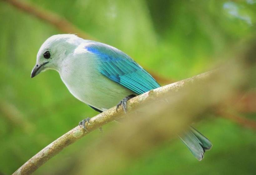 پانسیون La Terraza Verde