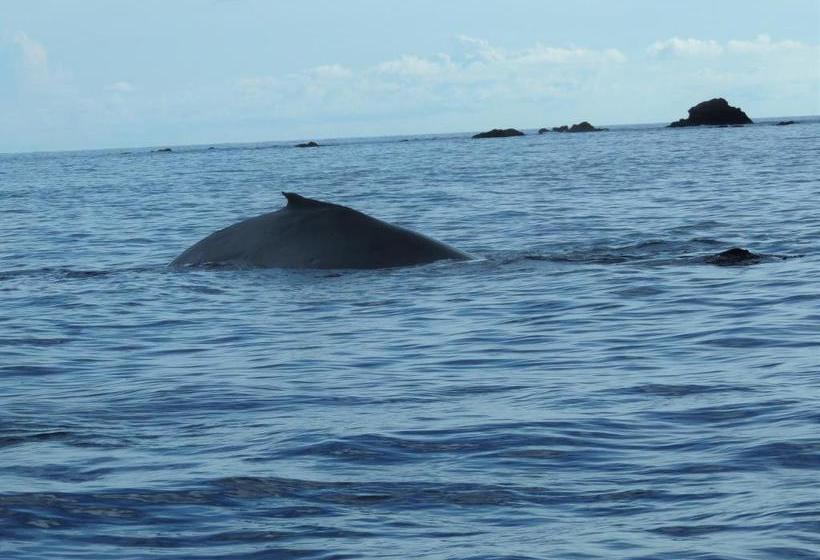 پانسیون La Terraza Verde