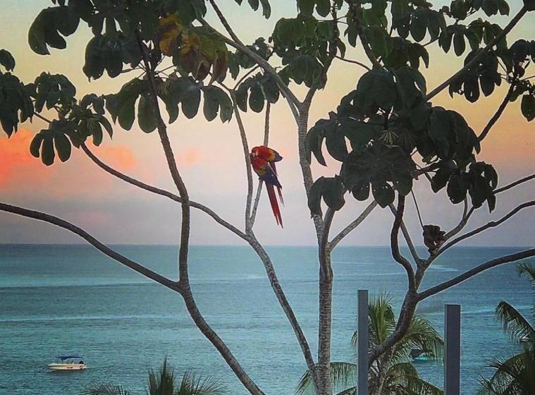 پانسیون La Terraza Verde