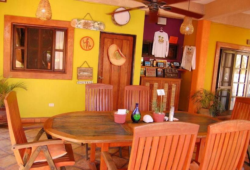 膳宿费 Leo's Baja Oasis