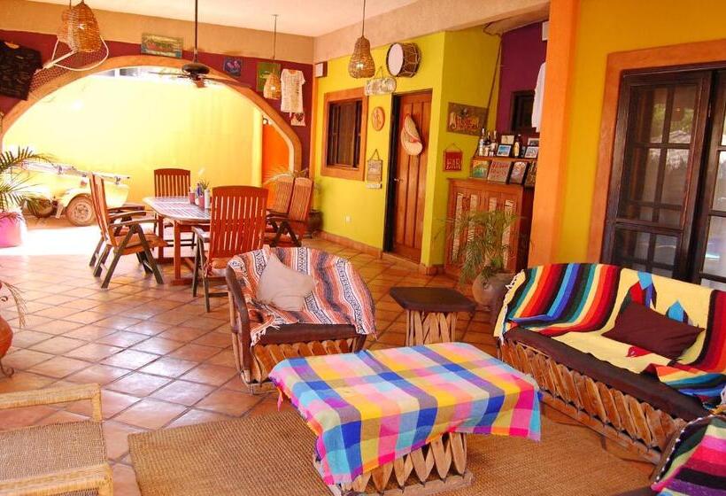 膳宿费 Leo's Baja Oasis