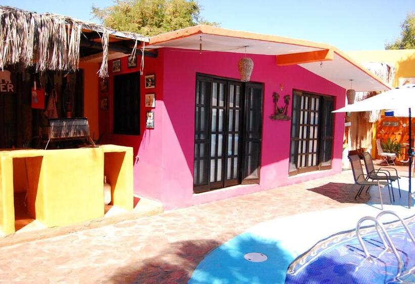 膳宿费 Leo's Baja Oasis