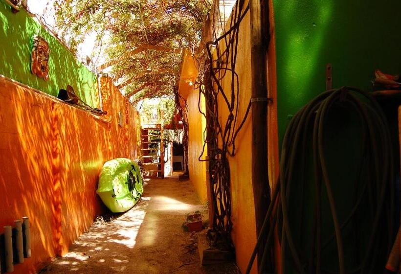 پانسیون Leo's Baja Oasis