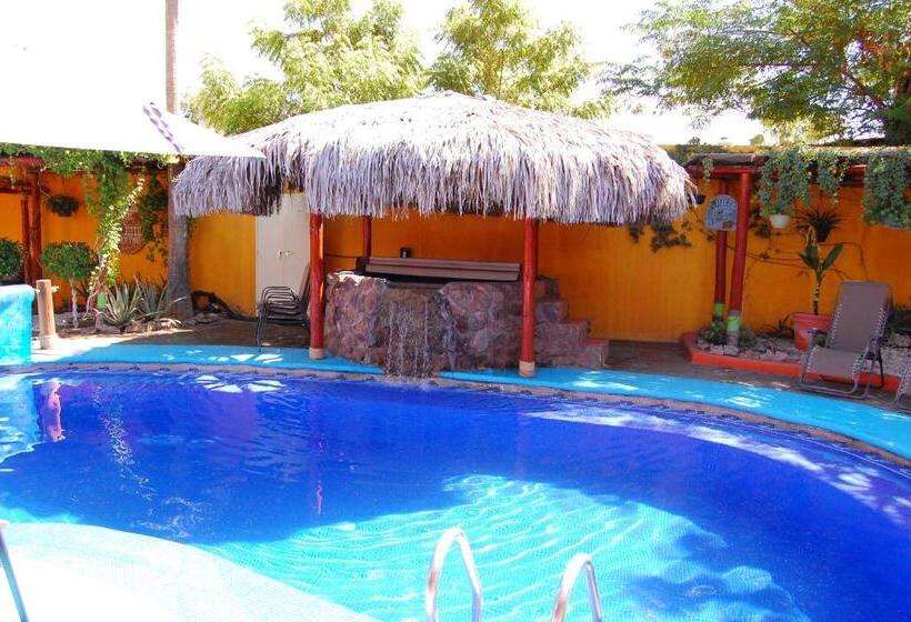 膳宿费 Leo's Baja Oasis