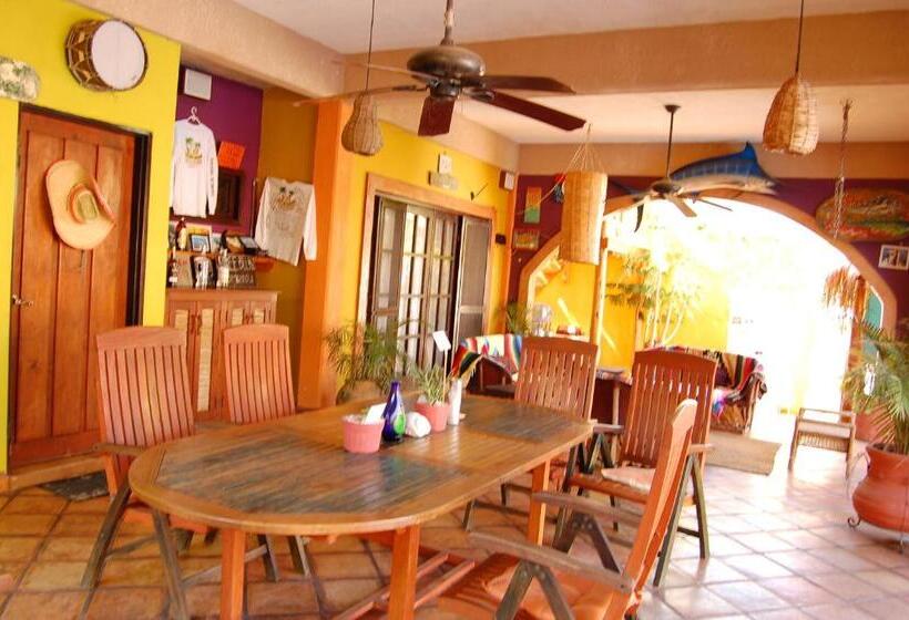 膳宿费 Leo's Baja Oasis