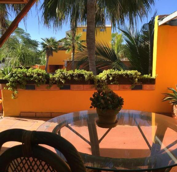 膳宿费 Leo's Baja Oasis