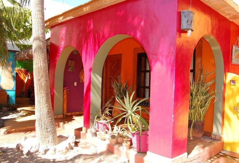 膳宿费 Leo's Baja Oasis