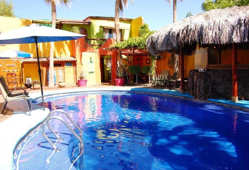 膳宿费 Leo's Baja Oasis