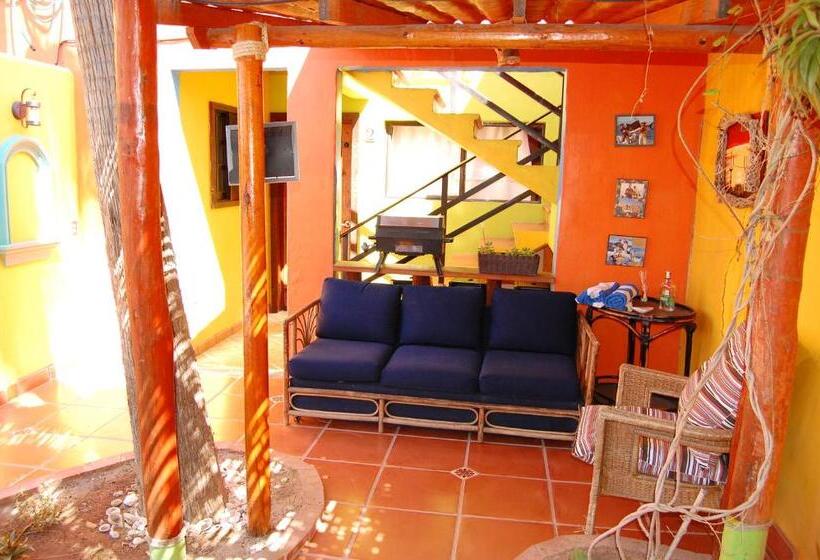 پانسیون Leo's Baja Oasis