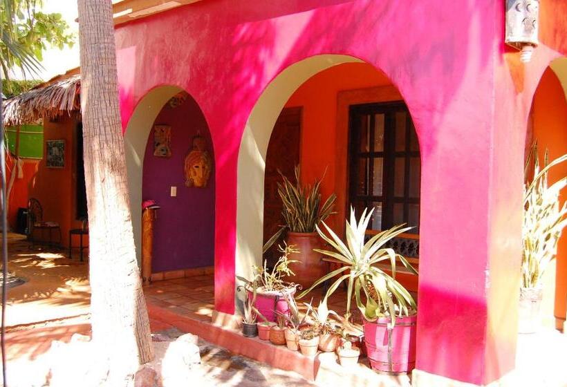 膳宿费 Leo's Baja Oasis