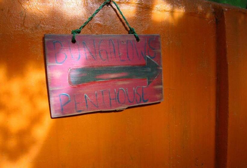 膳宿费 Leo's Baja Oasis