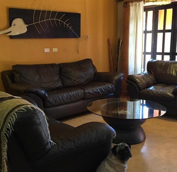 膳宿费 Leo's Baja Oasis