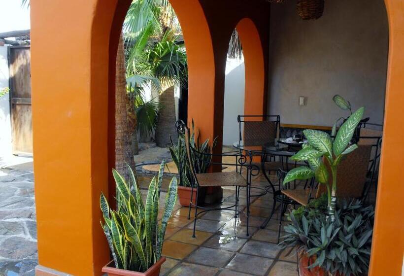 膳宿费 Leo's Baja Oasis