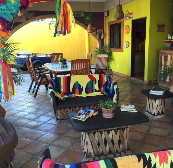 膳宿费 Leo's Baja Oasis