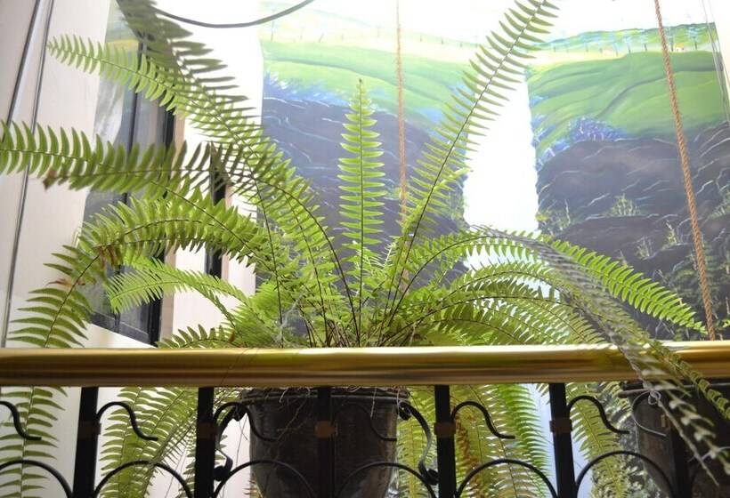 پانسیون Mashy´s Hostal