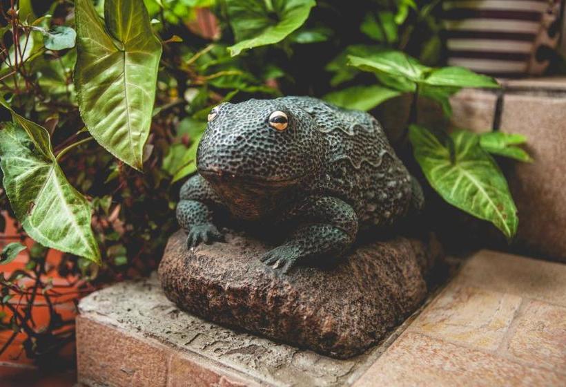 ペンション Palmeiras Guest House Maputo