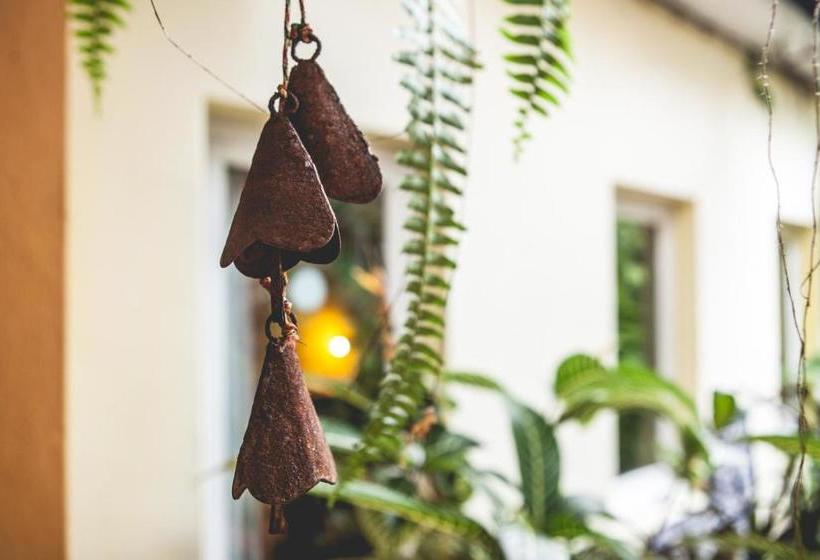 ペンション Palmeiras Guest House Maputo