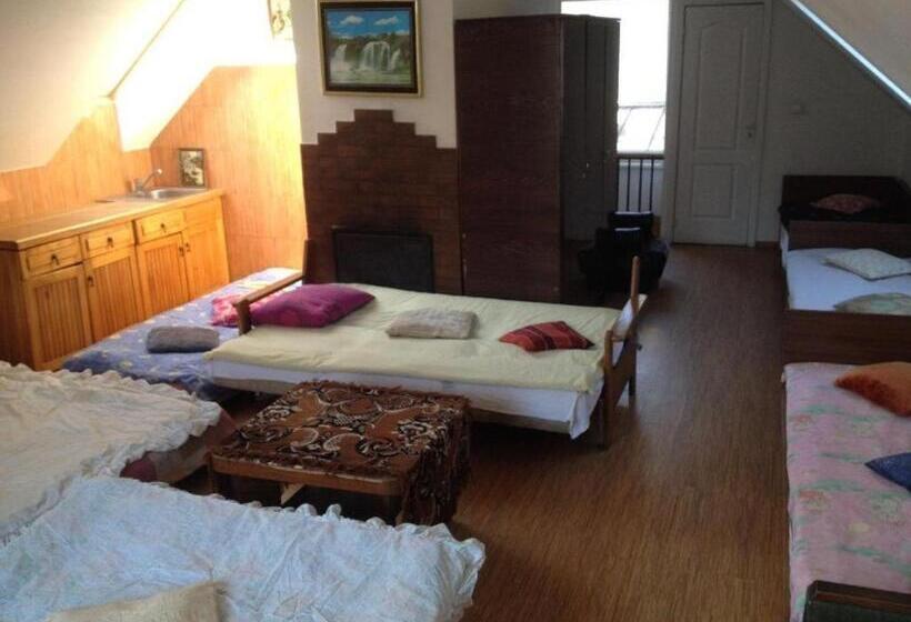 پانسیون Pirtis Prie Neries Jonava