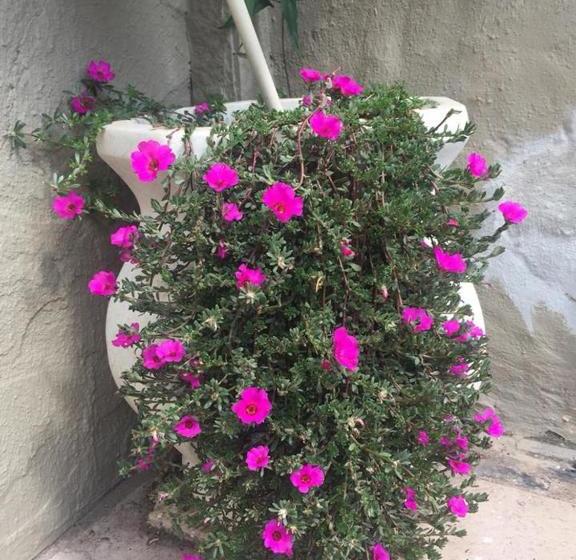 פנסיון Pousada Castelinho