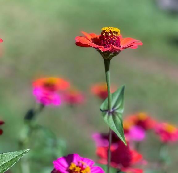 펜션 Pousada Grande Pedreira