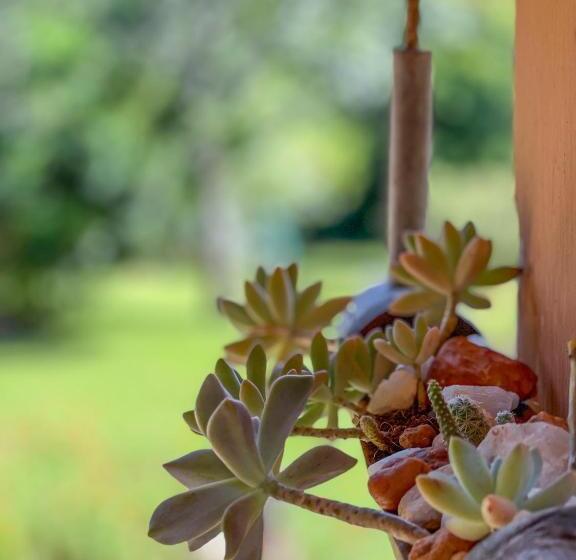 펜션 Pousada Grande Pedreira