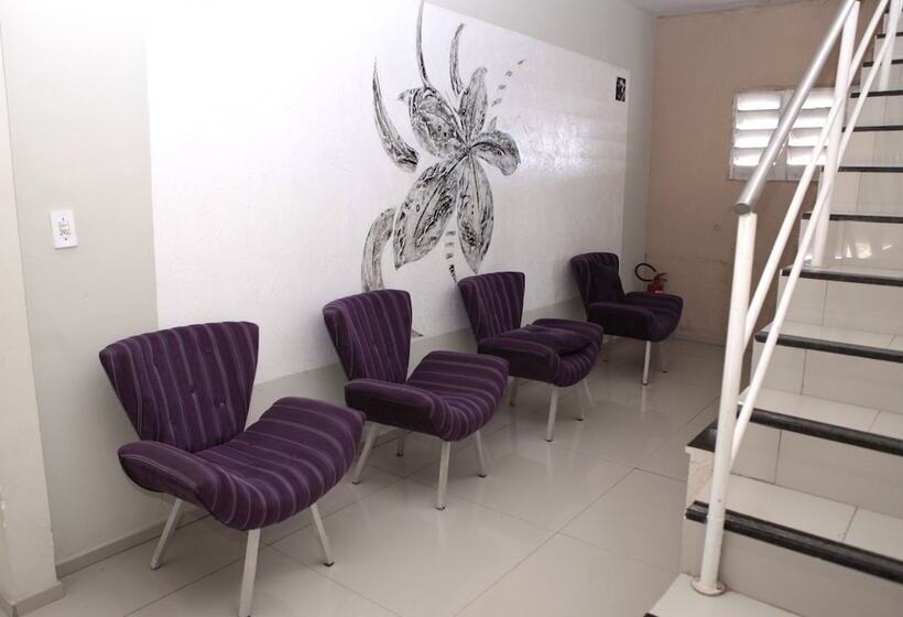 膳宿费 Pousada Moda New