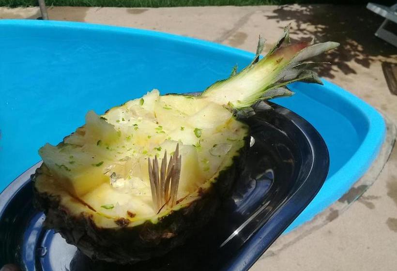 פנסיון Pousada Vaca Brava