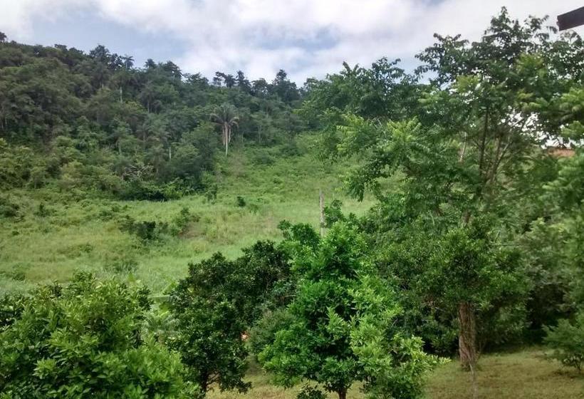 פנסיון Pousada Vaca Brava