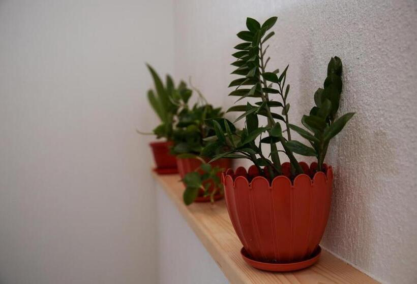 膳宿费 Stanchevata Kashta