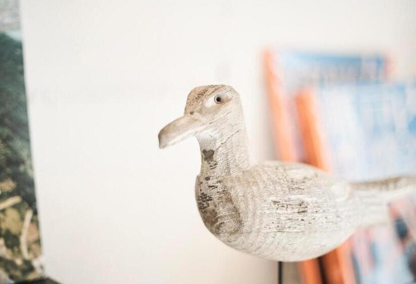 膳宿费 Ten To Sen Guesthouse