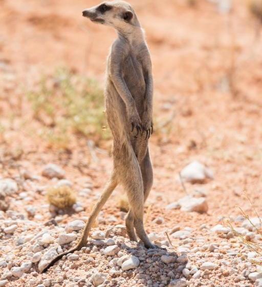 펜션 Three Gables Guesthouse