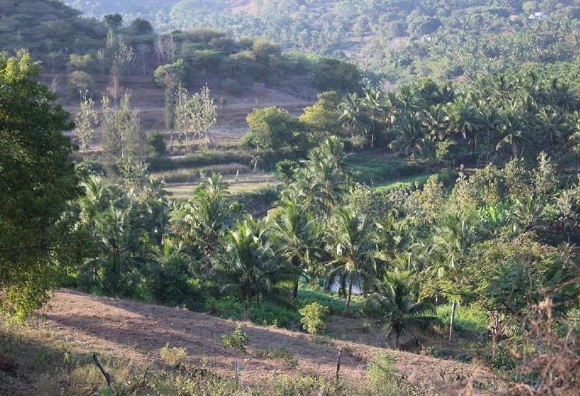 Пансион Tranquilandia