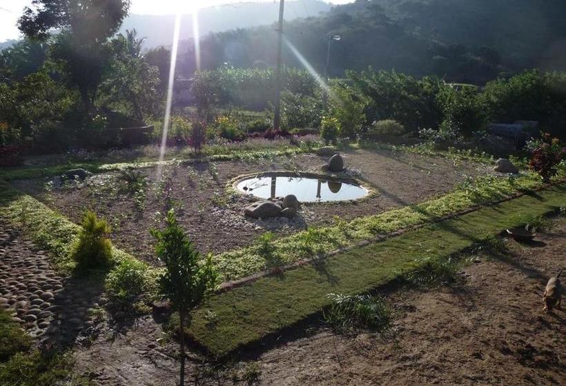 Пансион Tranquilandia