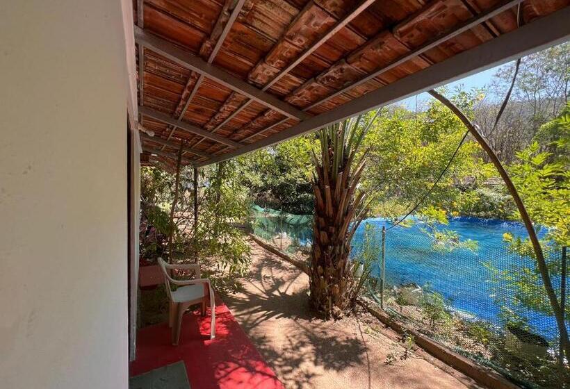 Пансион Tranquilandia