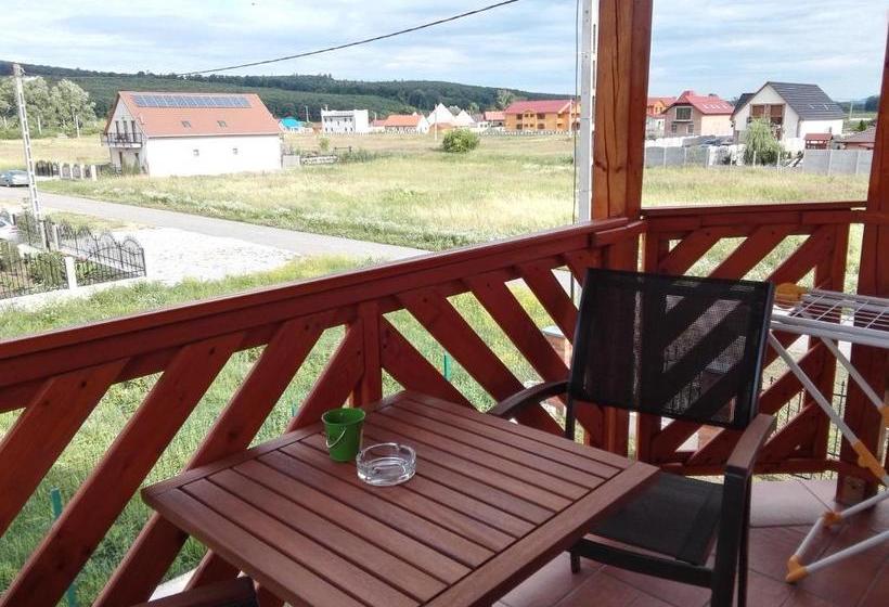 ペンション Vidor Vendégház