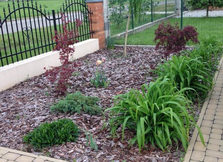 ペンション Vidor Vendégház