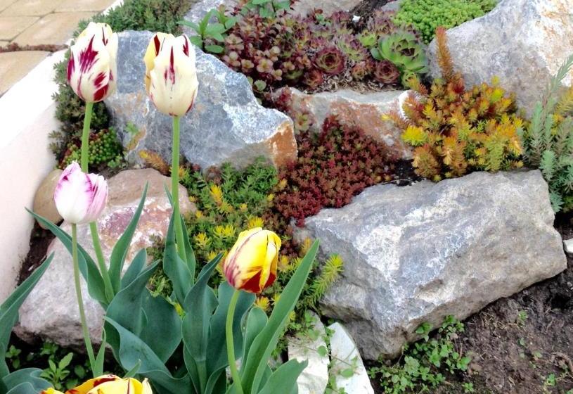 ペンション Vidor Vendégház