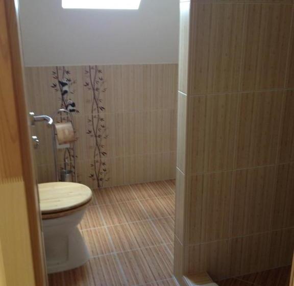 ペンション Vidor Vendégház